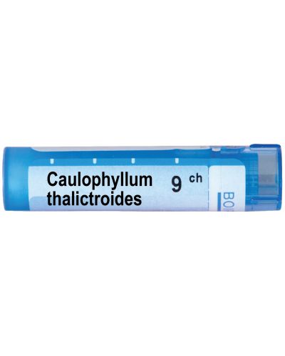Caulophyllum thalictroides 9CH, Boiron - 1