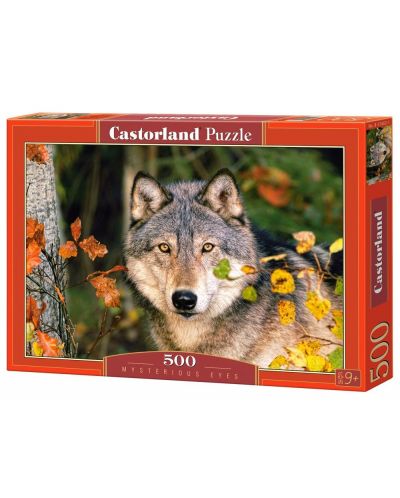 Пъзел Castorland от 500 части - Тайнствени очи
