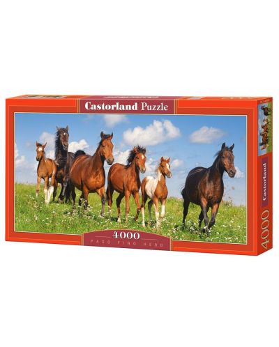Панорамен пъзел Castorland от 4000 части - Пасище с коне