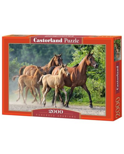 Пъзел Castorland от 2000 части - Коне