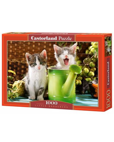 Пъзел Castorland от 1000 части - Котета