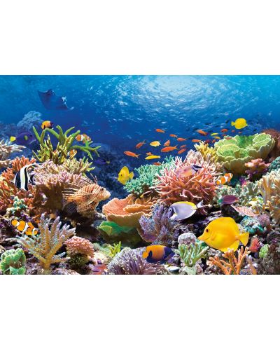 Пъзел Castorland от 1000 части - Корали и риби - 2