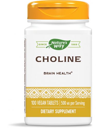 Choline, 500 mg, 100 таблетки, Nature’s Way - 1