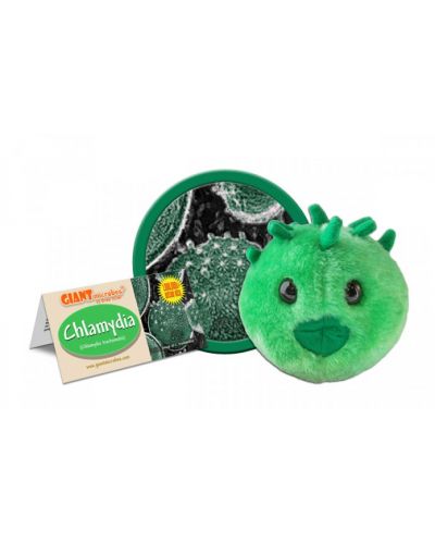 Гигантска плюшена играчка Хламидиоза (Chlamydia Trachomatis) - 2