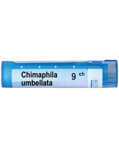 Chimaphila umbellata 9CH, Boiron - 1