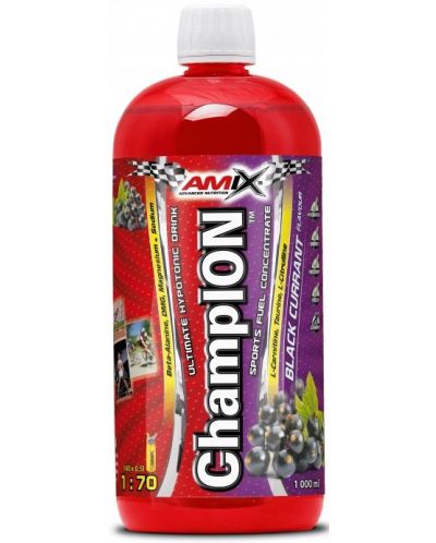 Champion Sports Fuel, касис, 1000 ml, Amix - 1
