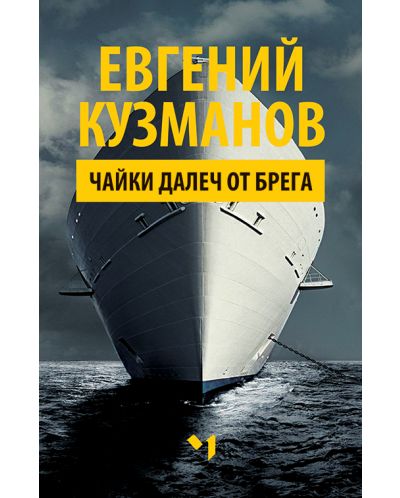 Чайки далеч от брега