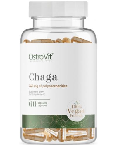 Chaga, 60 капсули, OstroVit - 1