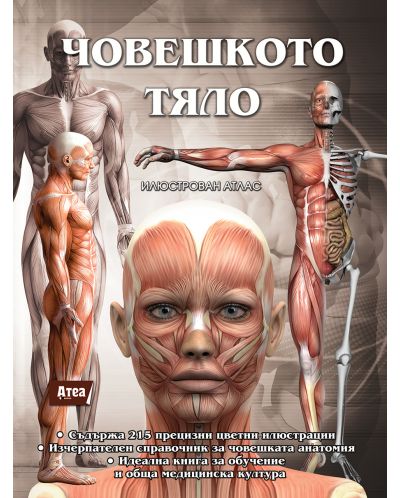 Човешкото тяло. Илюстрован атлас - 1