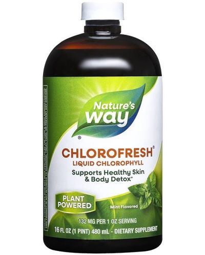 Chlorofresh Liquid Chlorophyll, 480 ml, Nature’s Way - 1
