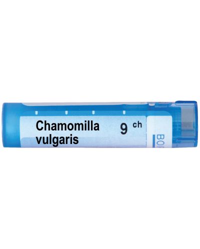 Chamomilla vulgaris 9CH, Boiron - 1