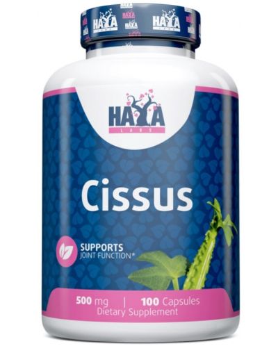 Cissus, 500 mg, 100 капсули, Haya Labs - 1