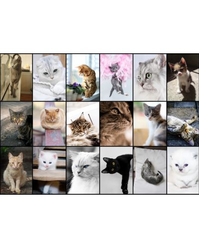 Пъзел Grafika от 1000 части - Колаж с котки - 2