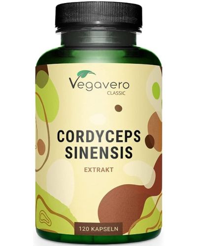 Cordyceps Sinensis Extrakt, 500 mg, 120 капсули, Vegavero - 1