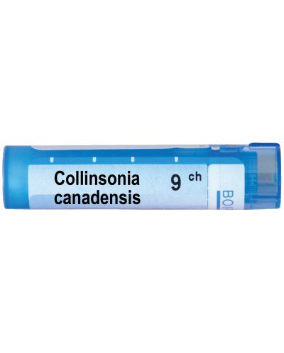 Collinsonia canadensis 9CH, Boiron - 1