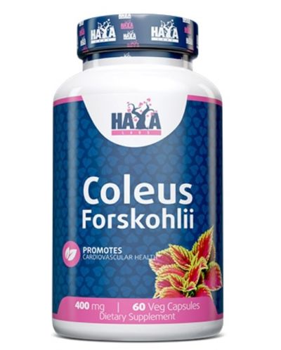 Coleus Forskohlii, 400 mg, 60 капсули, Haya Labs - 1