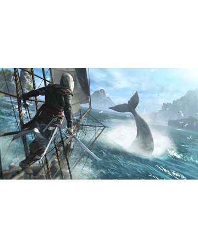 Assasin's Creed Black Flag & Assassin's Creed Rogue Double Pack (PS3) - 7