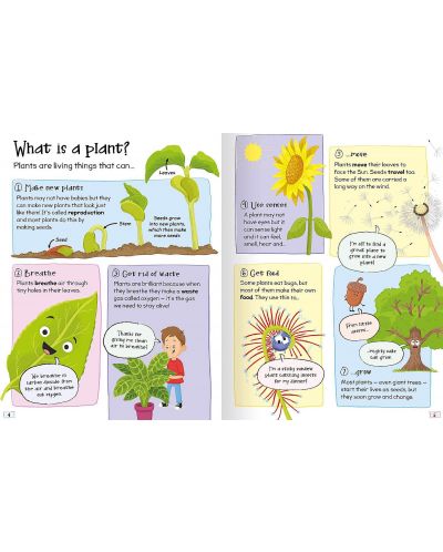 Curious Questions and Answers: Plants - 3