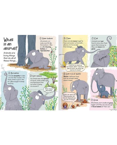Curious Questions and Answers About Animals - 3