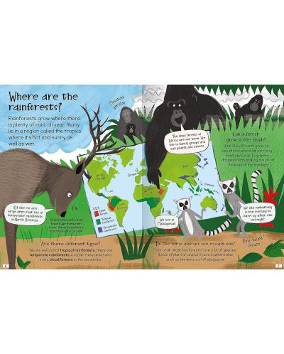 Curious Questions and Answers: Rainforests - 3