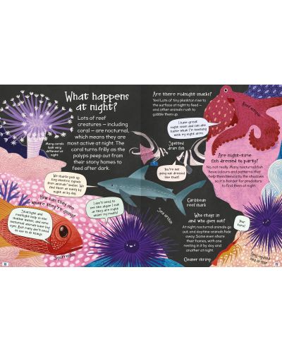 Curious Questions and Answers About Coral Reefs - 3