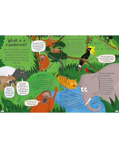 Curious Questions and Answers: Rainforests - 2