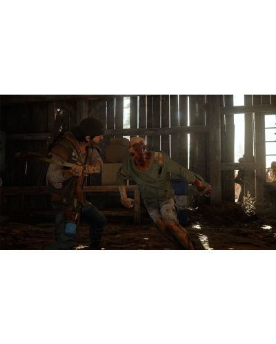 Days Gone (PS4) - 11