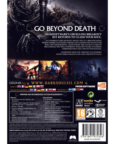 Dark Souls II (PC) - 4