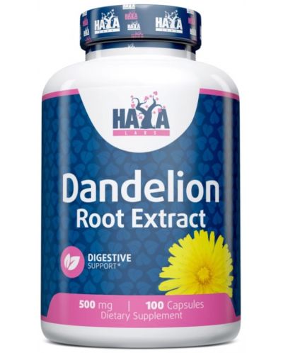 Dandelion Root Extract, 500 mg, 100 капсули, Haya Labs - 1