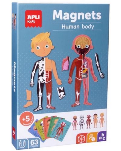 Детска магнитна игра Apli - Човешкото тяло - 1
