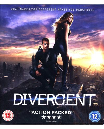 Divergent (Blu Ray)