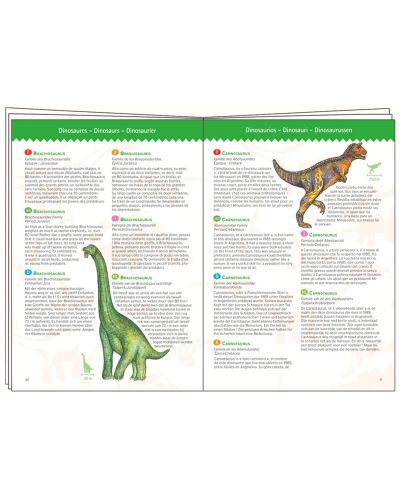 Детски пъзел за наблюдателност Djeco – Динозаврите, 100 части + книжка - 2