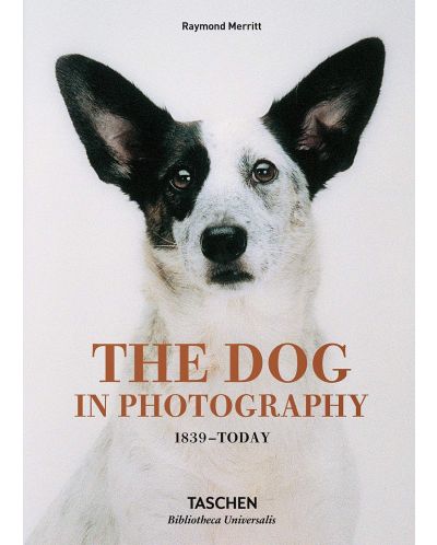 Dog in Photography - 1