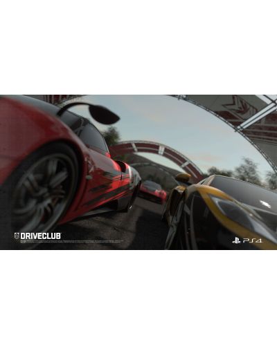 DRIVECLUB - Special Edition (PS4) - 19