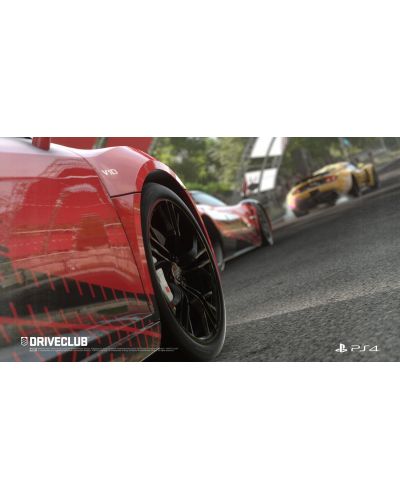 DRIVECLUB - Special Edition (PS4) - 21