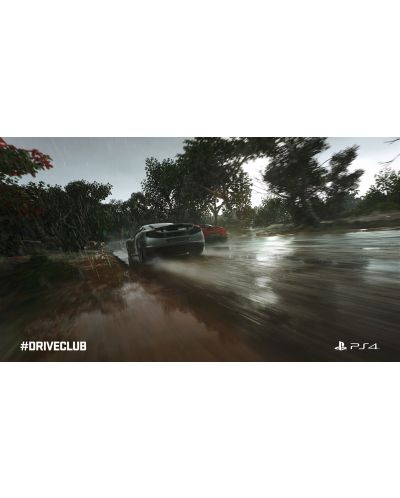 DRIVECLUB - Special Edition (PS4) - 22