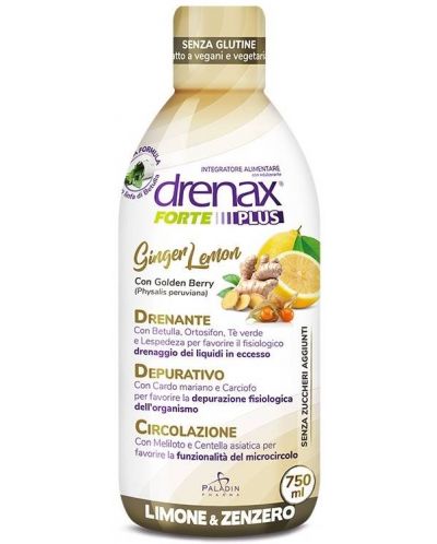 Drenax Forte Plus Ginger Lemon, 750 ml, Paladin Pharma - 1