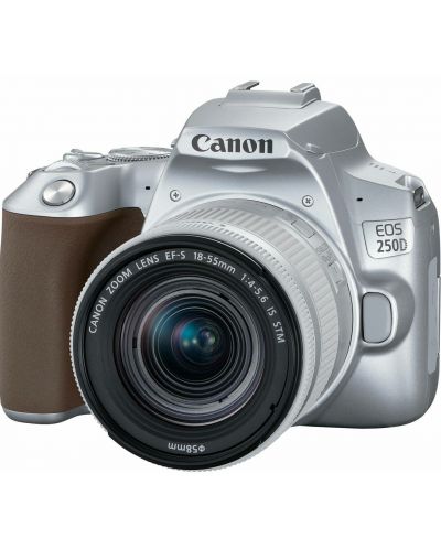 DSLR фотоапарат Canon - EOS 250D, EF-S 18-55mm, сребрист - 1