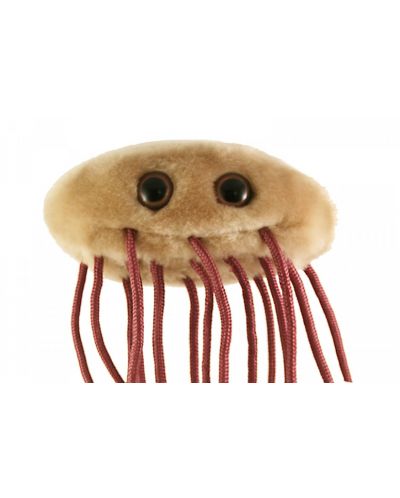 Плюшена играчка E. coli (Escherichia coli) - 3