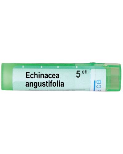 Echinacea angustifolia 5CH, Boiron - 1