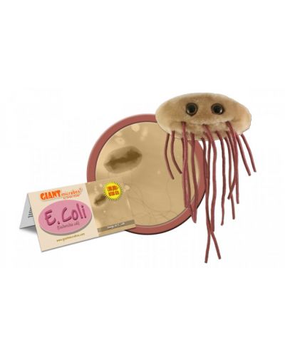 Плюшена играчка E. coli (Escherichia coli) - 2