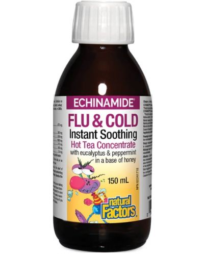Echinamide Flu & Cold Сироп при настинка, 150 ml, Natural Factors - 1