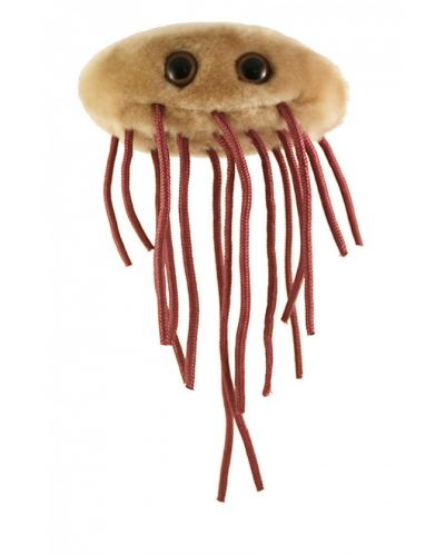 Плюшена играчка E. coli (Escherichia coli) - 1