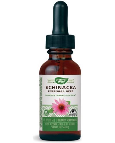 Echinacea Purpurea Herb, 500 mg, 30 ml, Nature's Way - 1