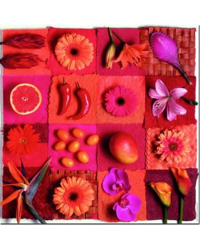 Пъзел Educa от 3 x 500 части - Екзотични цветя и плодове - 4