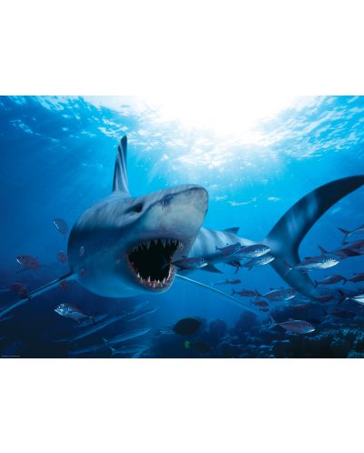 Пъзел Eurographics от 1000 части –  Гладна акула - 2