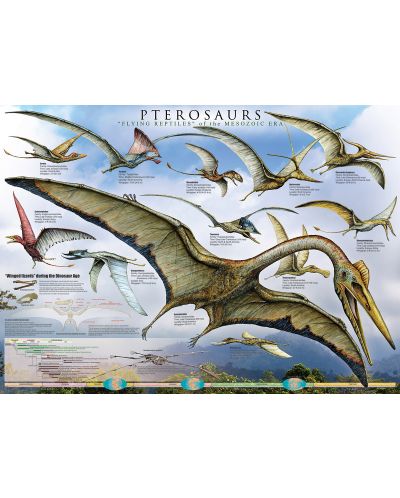 Пъзел Eurographics от 1000 части – Птерозаври - 2