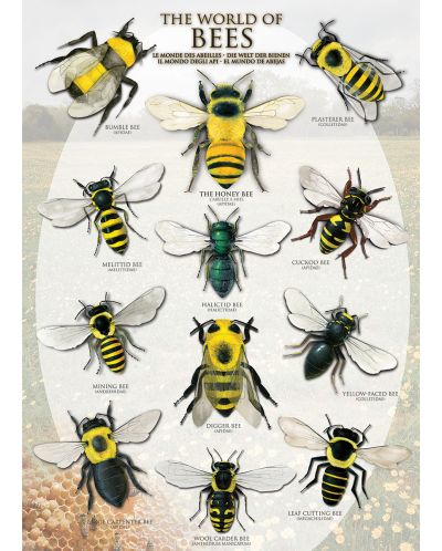Пъзел Eurographics от 1000 части – Света на пчелите - 2