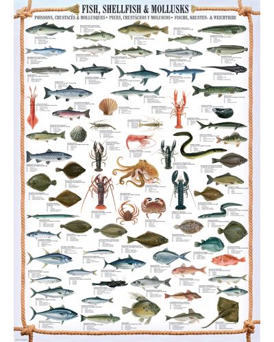 Пъзел Eurographics от 1000 части – Риба, миди и мекотели - 2
