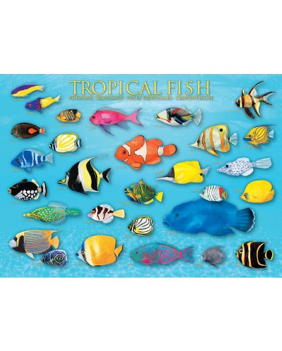Пъзел Eurographics от 1000 части – Тропически риби - 2